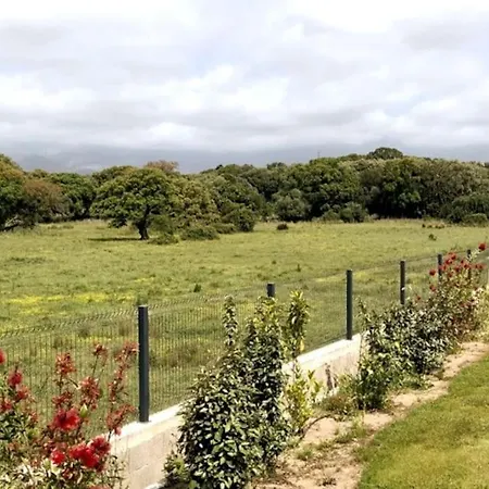 Lejlighed Domaine D'arca, T2 Jardin Prive/piscine/tennis Porto-Vecchio (Corsica)