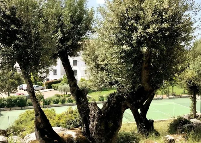 Appartement Domaine D'arca, T2 Jardin Prive/piscine/tennis Porto-Vecchio (Corsica)