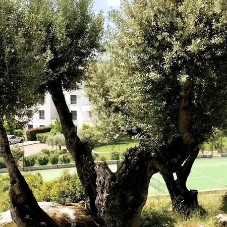 Appartamento Domaine D'arca, T2 Jardin Prive/piscine/tennis Porto Vecchio