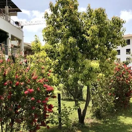 Appartamento Domaine D'arca, T2 Jardin Prive/piscine/tennis *